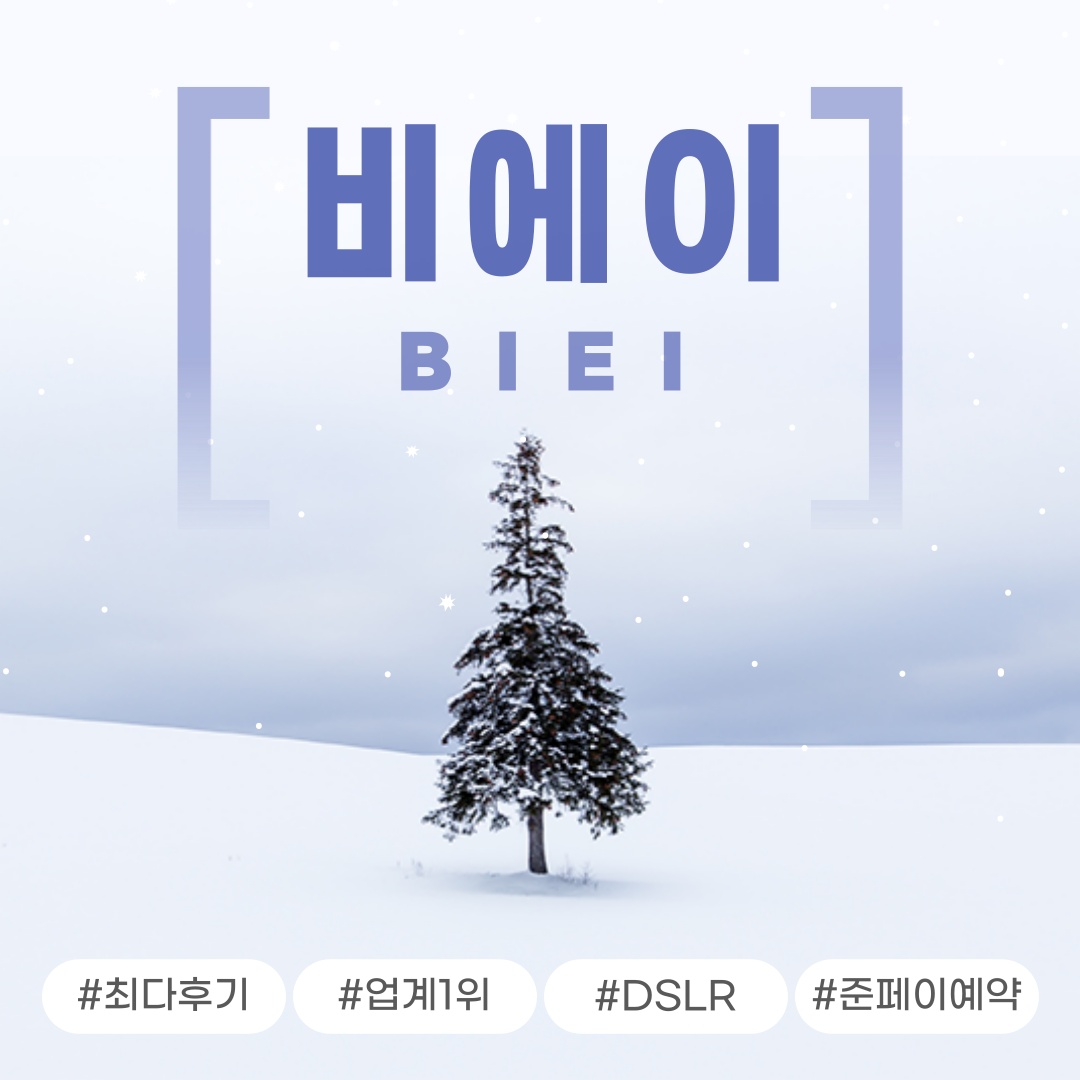 삿포로 비에이 후라노 버스투어 DSLR 사진 촬영 후기